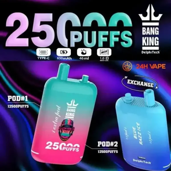 Bang King 25K 25000 Puffs Dual Pods 46ml E-liquid 0% 2% 3% 5% Nicotine Type-C Charging Disposable Vape 1 Bang King 25000 puff Disposable Vape 25k Dual Pods