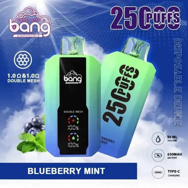 Bang 25K (25000) Puffs LCD Display 30ml E-liquid 650 mAh Battery 0% 2% 3% 5% Nicotine Disposable Vape 12 Bang 25K(25000) Puffs LCD Display 30ml E-liquid 650 mAh Battery 0% 2% 3% 5% Nicotine Disposable Vape