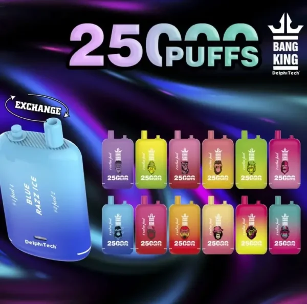 Bang King 25K 25000 Puffs Dual Pods 46ml E-liquid 0% 2% 3% 5% Nicotine Type-C Charging Disposable Vape 2 Bang King 25000 puff Disposable Vape 25k Dual Pods