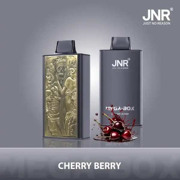 JNR Mega Box 25K (25000) Puffs 3D Texture 2% 5% Nicotine 30ML E-liquid 850mAh Powerbank Battery Disposable Vape 6 JNR Mega Box 25K (25000) Puffs 3D Texture 2% 5% Nicotine 30ML E-liquid 850mAh Powerbank Battery Disposable Vape