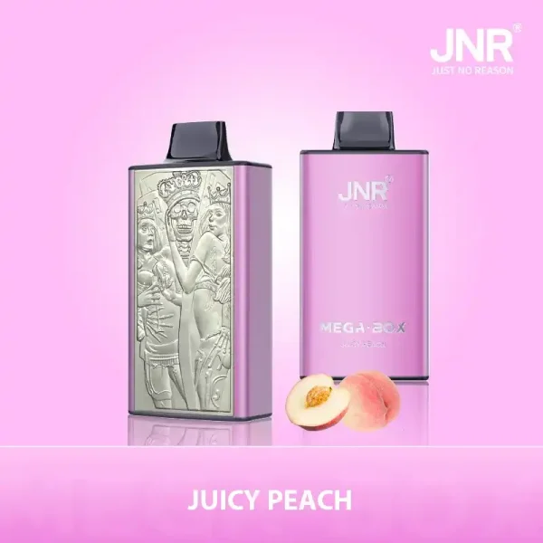 JNR Mega Box 25K (25000) Puffs 3D Texture 2% 5% Nicotine 30ML E-liquid 850mAh Powerbank Battery Disposable Vape 8 JNR Mega Box 25K (25000) Puffs 3D Texture 2% 5% Nicotine 30ML E-liquid 850mAh Powerbank Battery Disposable Vape